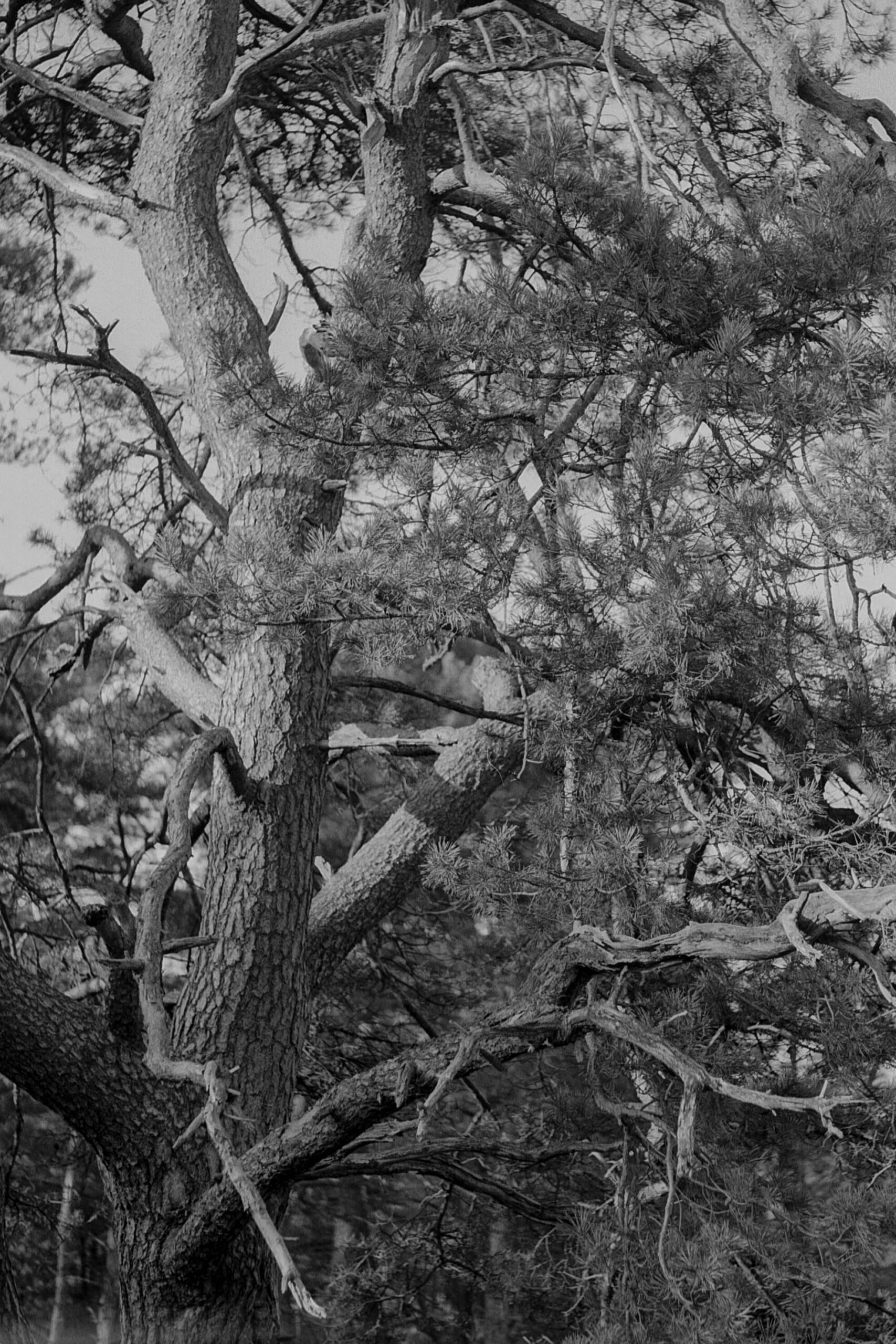 Marleen Dalhuijsen photography